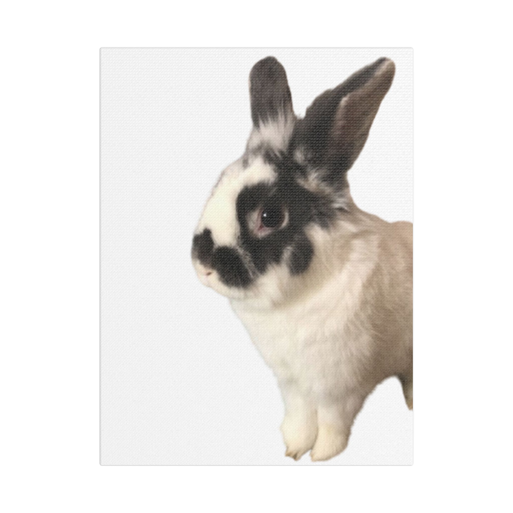 Canvas Print - I'm A Hunny Bunny For Your Love - Image 5