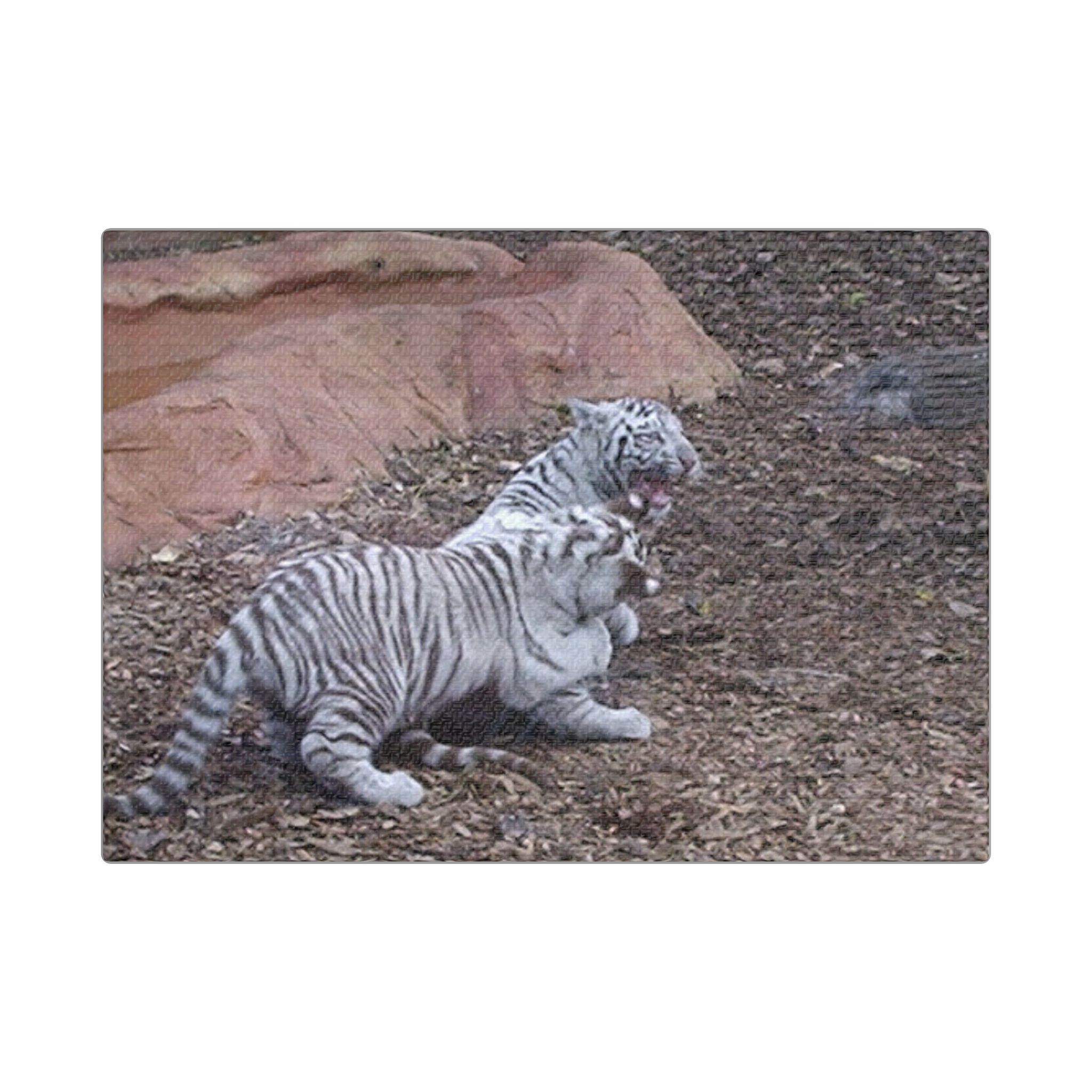 Canvas Wall Art Baby Tiger's Come On Let's Play