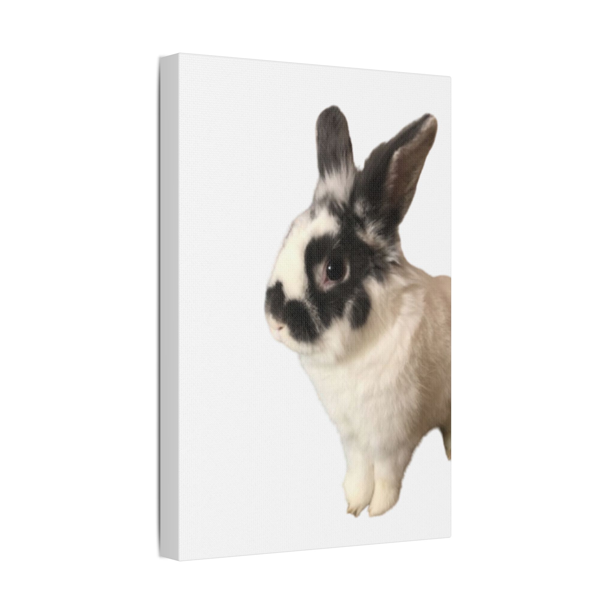 Canvas Print - I'm A Hunny Bunny For Your Love - Image 18