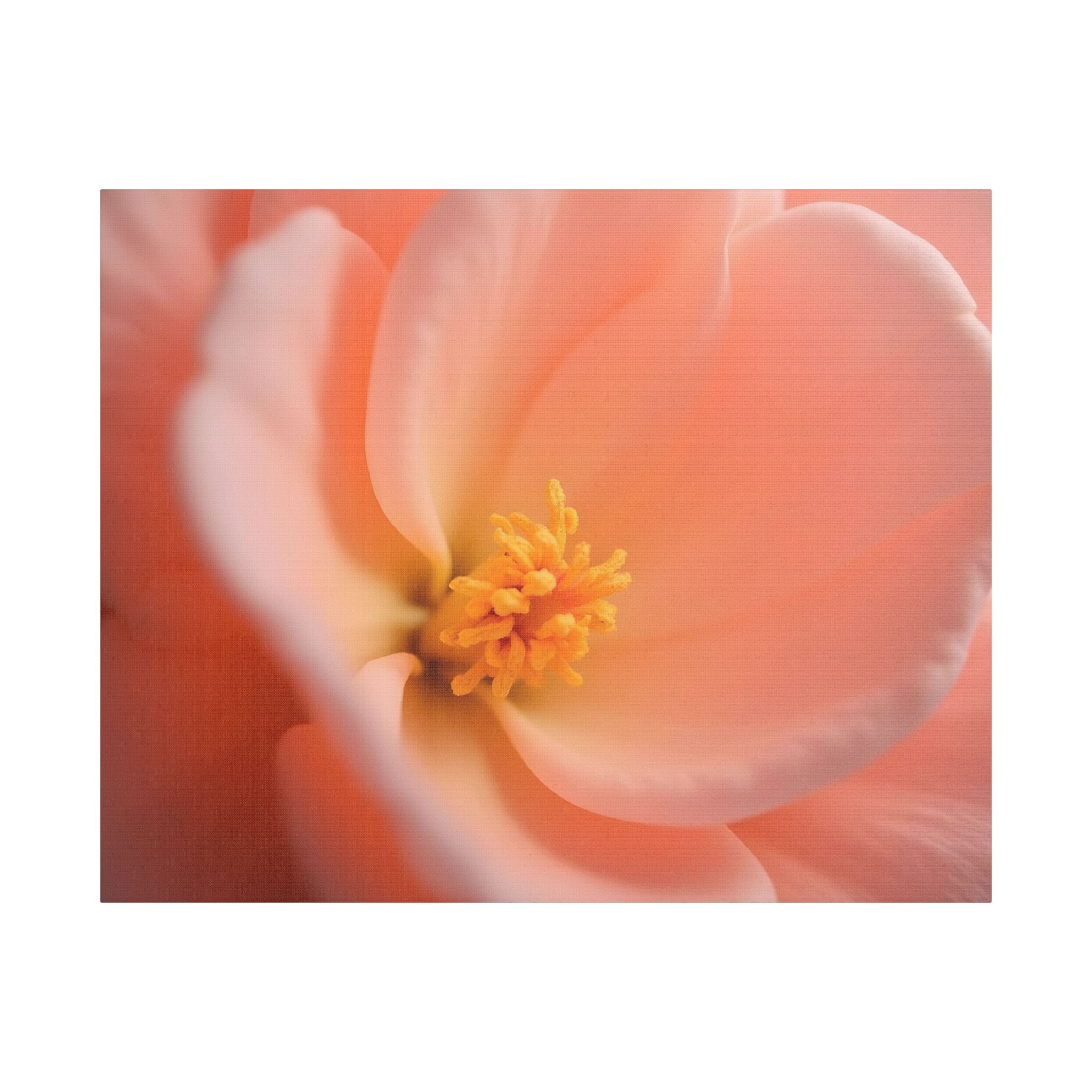 ๐ธ Forest Light Collection โ Secret Glade - Image 21