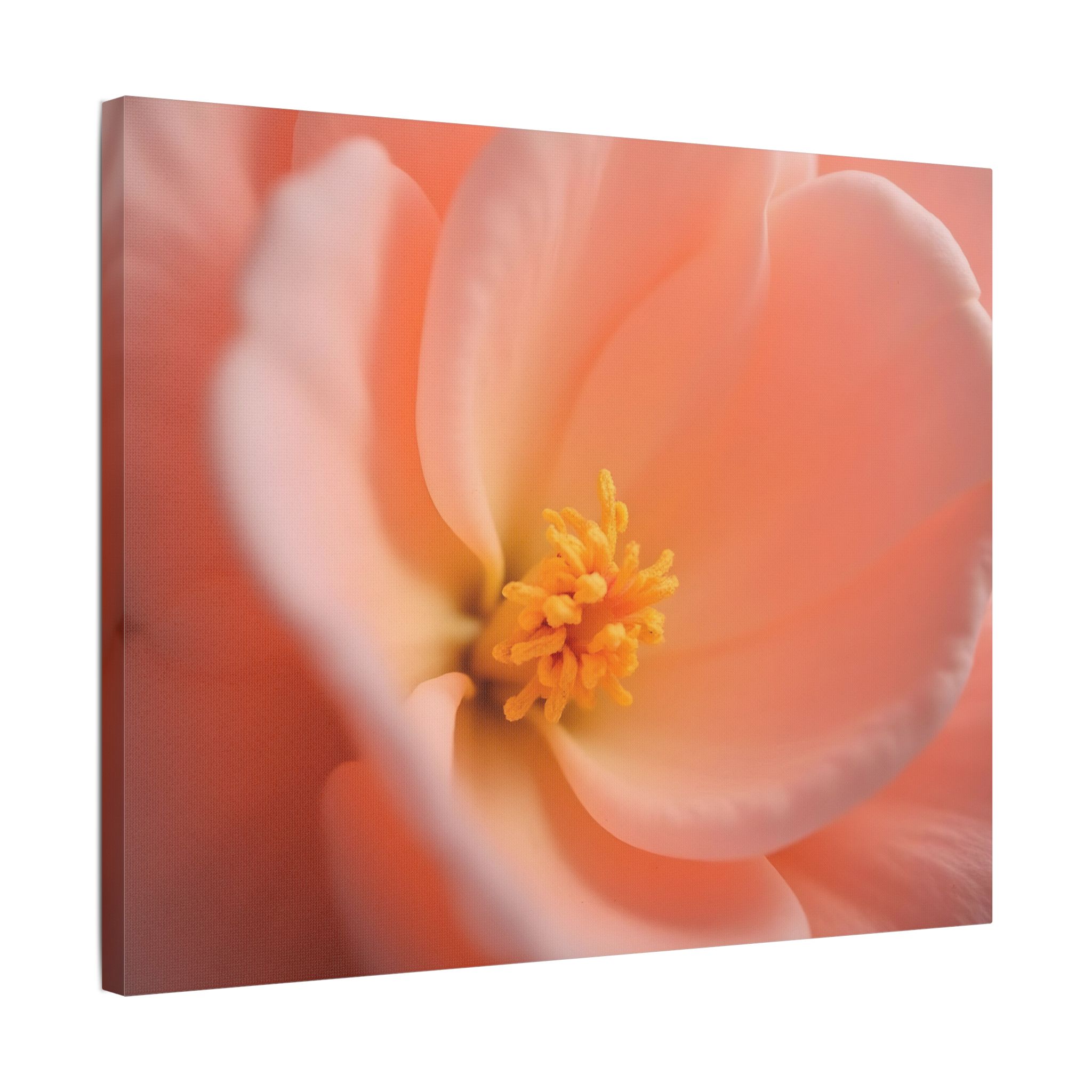 ๐ธ Forest Light Collection โ Secret Glade - Image 22