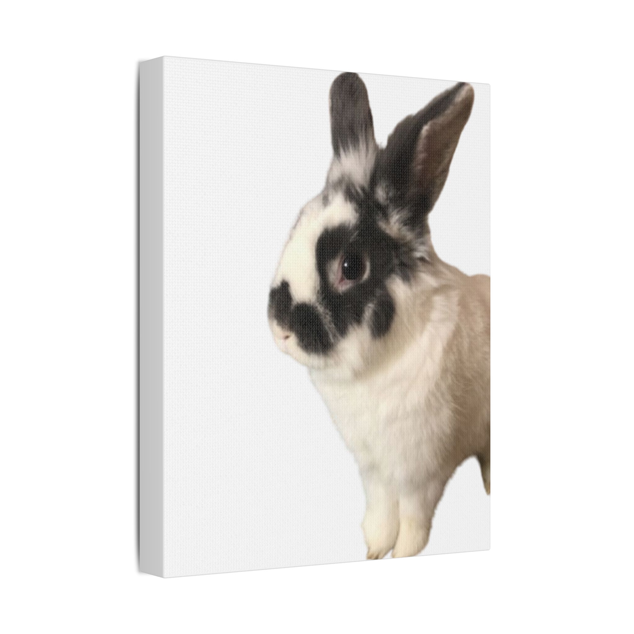 Canvas Print - I'm A Hunny Bunny For Your Love - Image 10