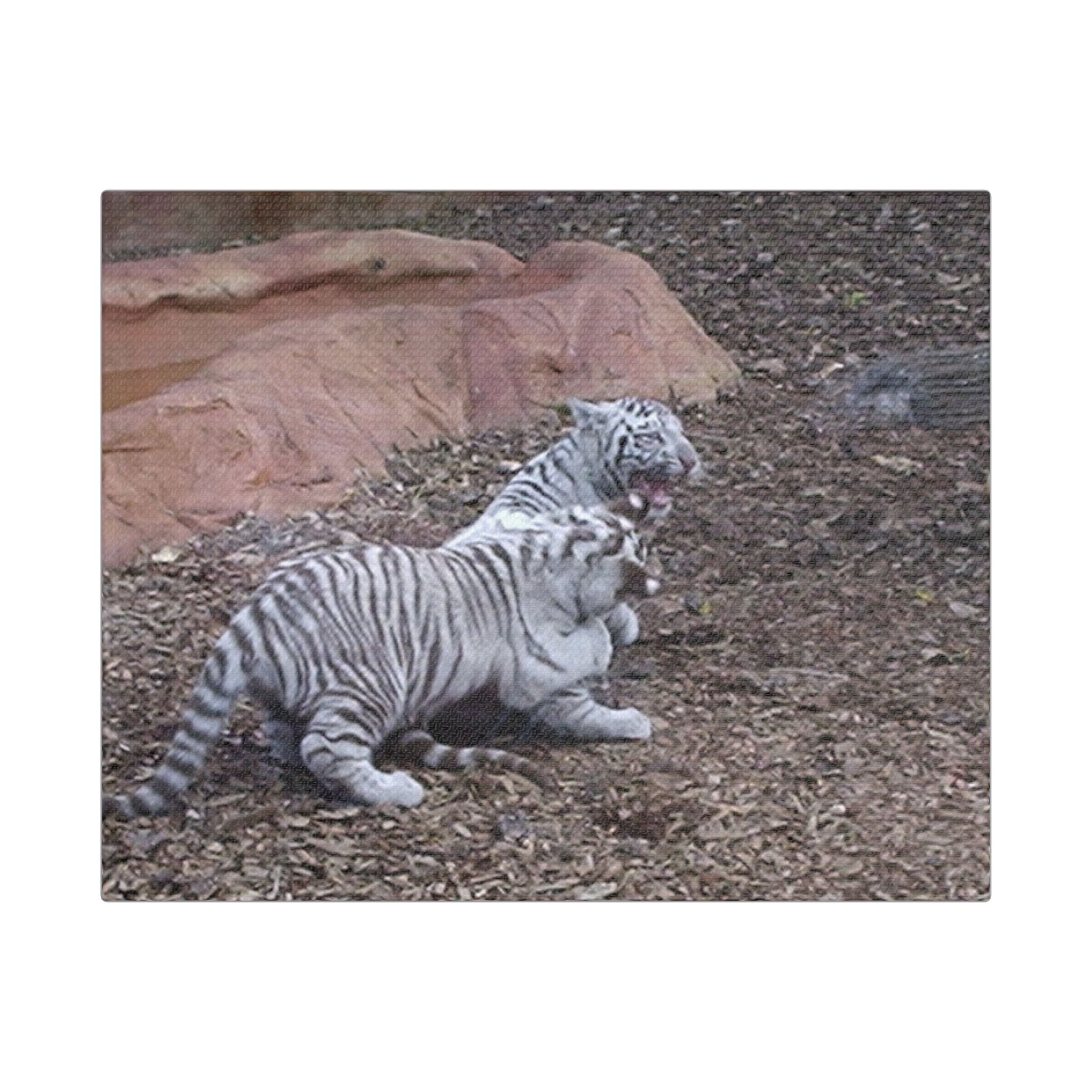 Canvas Wall Art Baby Tiger's Come On Let's Play - Image 5