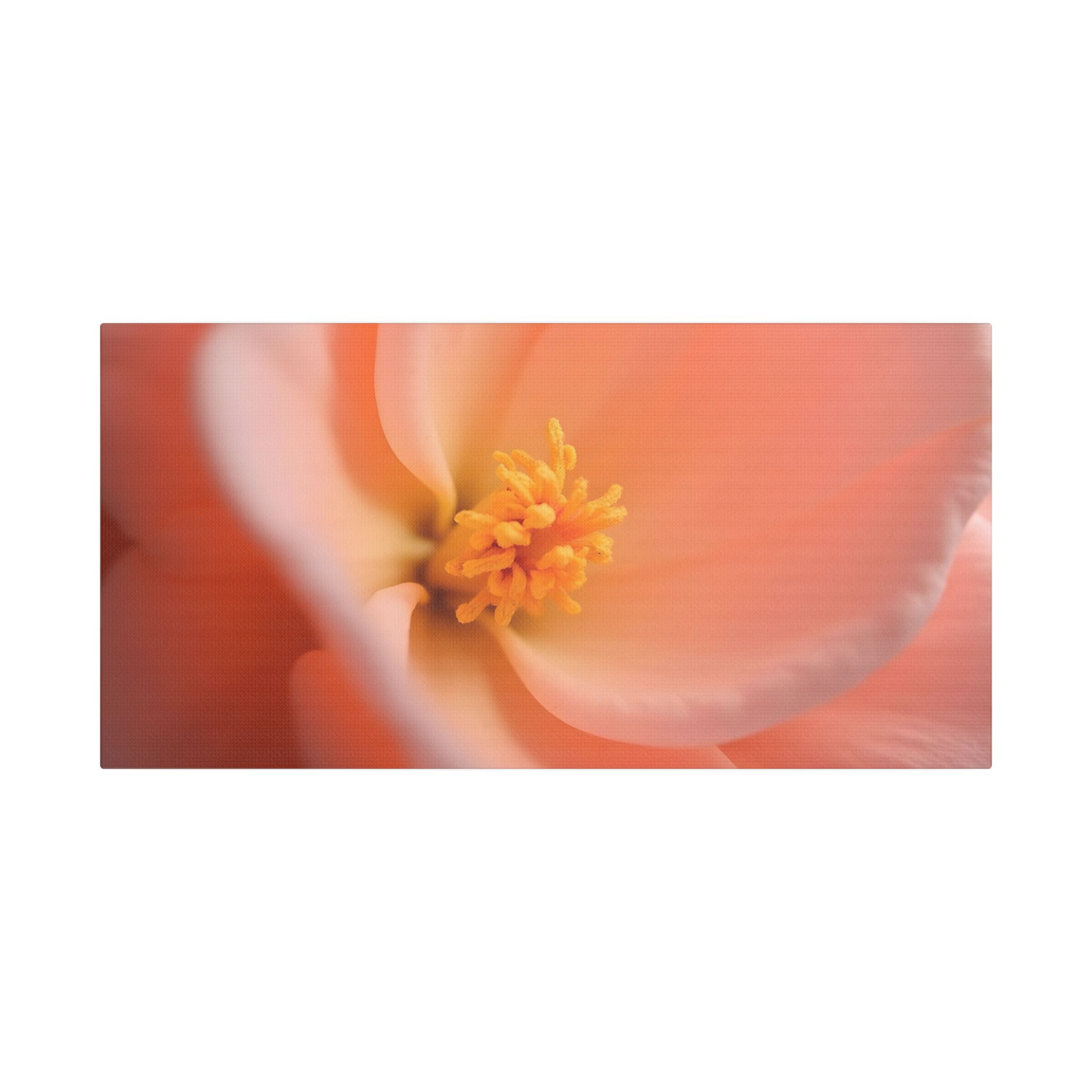 ๐ธ Forest Light Collection โ Secret Glade - Image 17