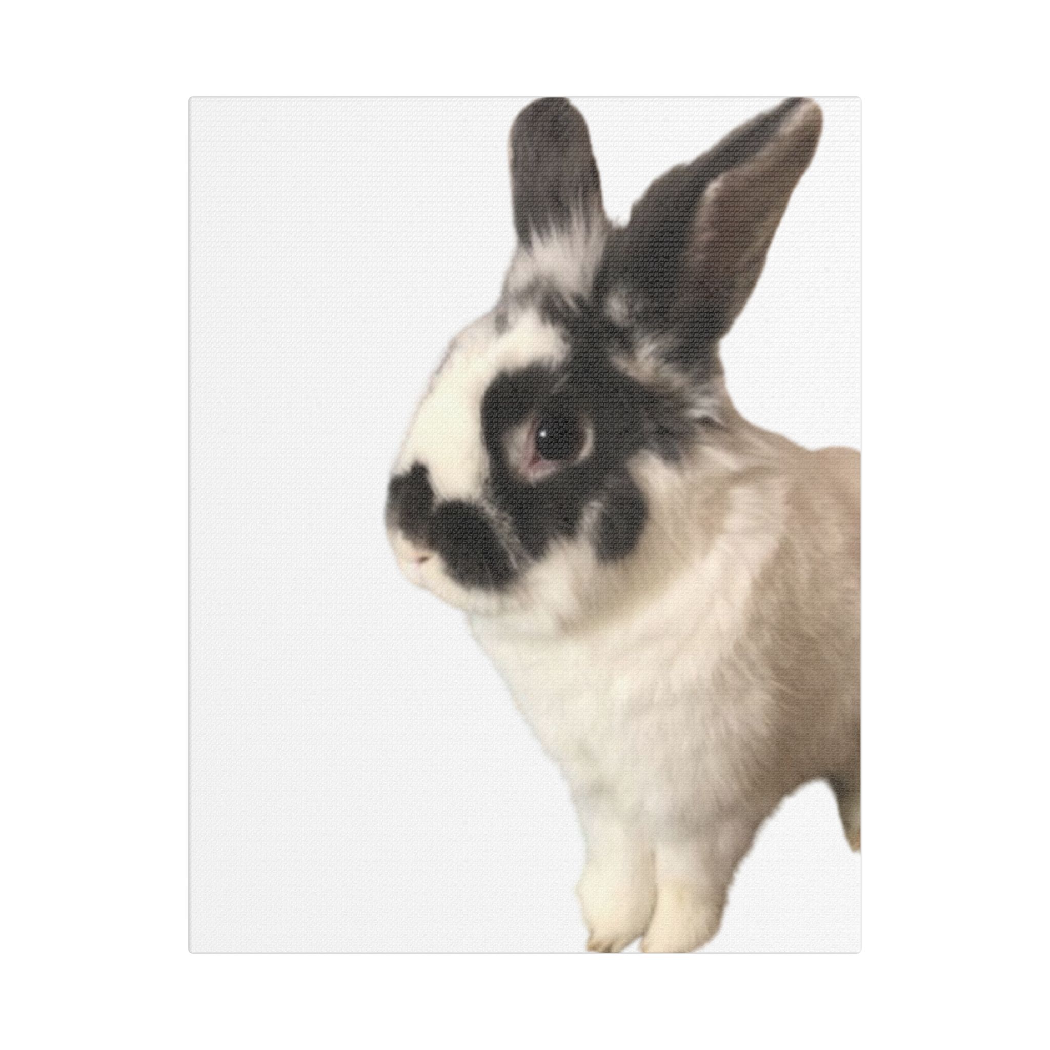 Canvas Print - I'm A Hunny Bunny For Your Love - Image 9