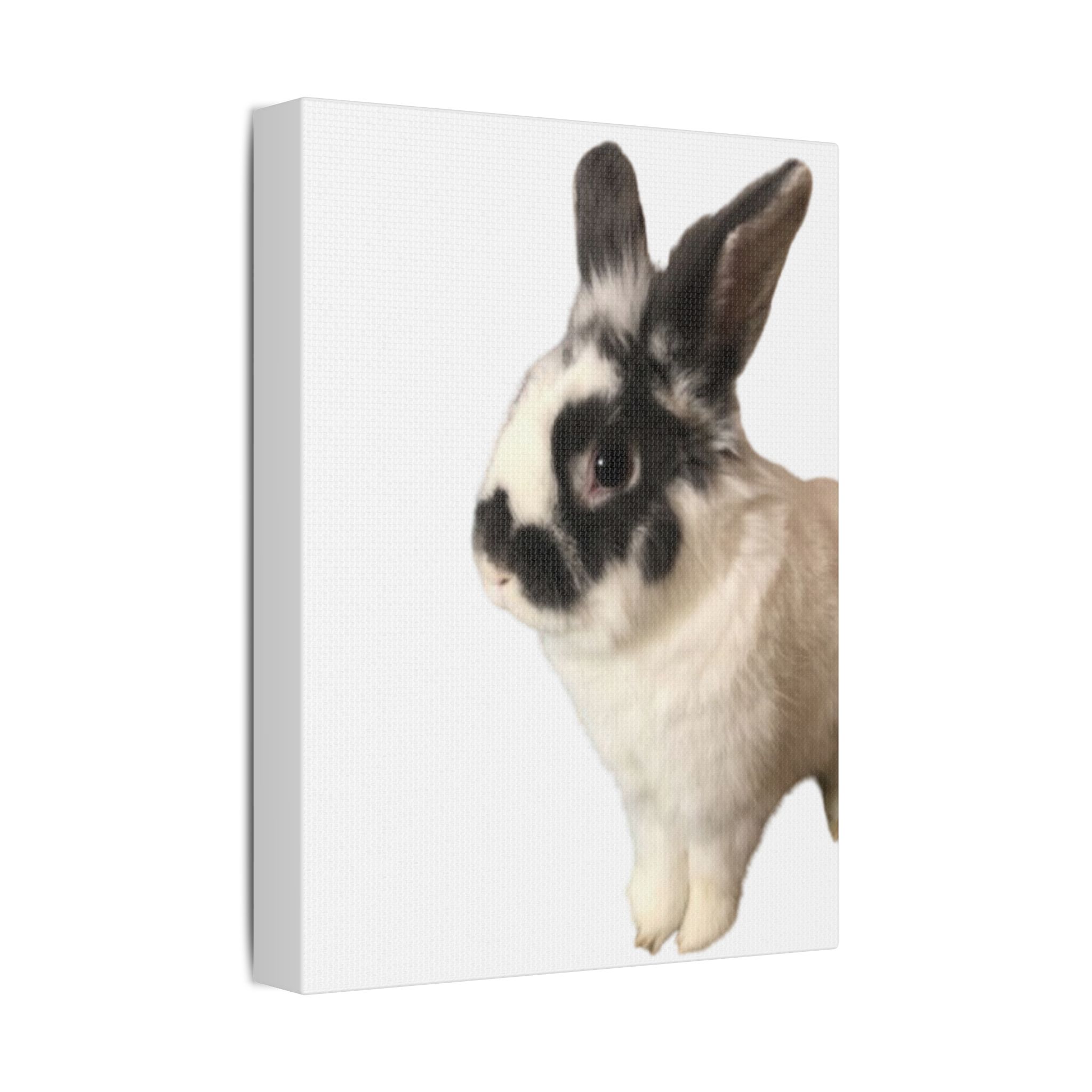 Canvas Print - I'm A Hunny Bunny For Your Love - Image 6