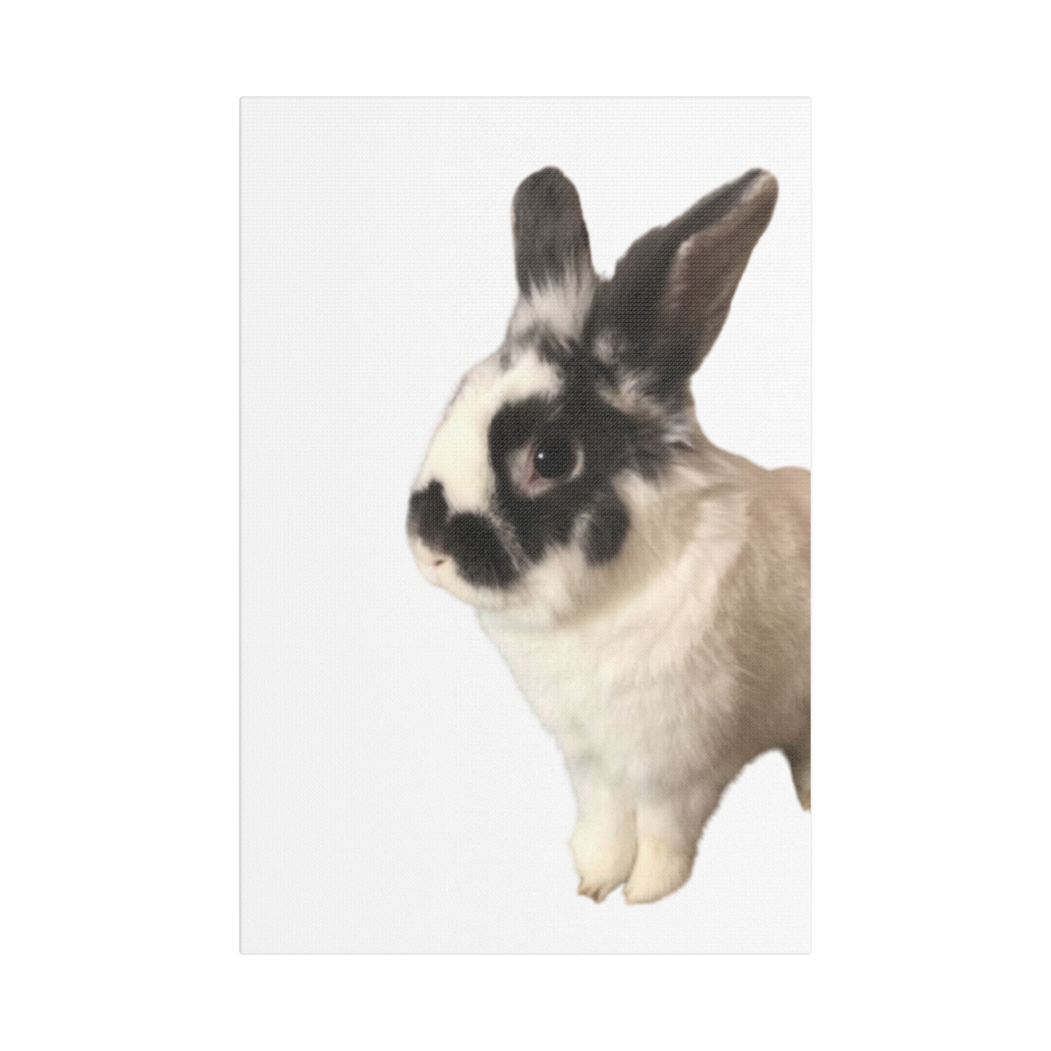 Canvas Print - I'm A Hunny Bunny For Your Love - Image 17