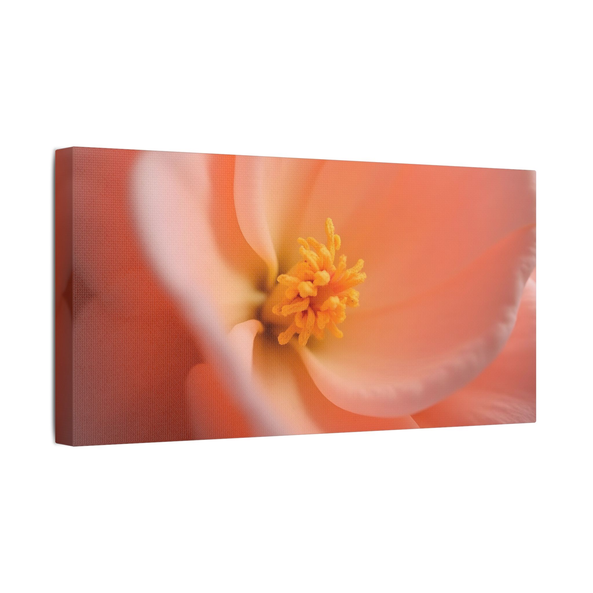 ๐ธ Forest Light Collection โ Secret Glade - Image 18