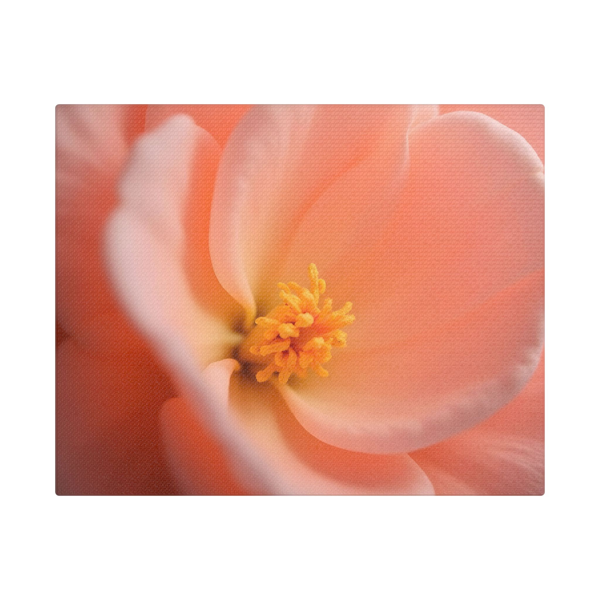 ๐ธ Forest Light Collection โ Secret Glade - Image 9