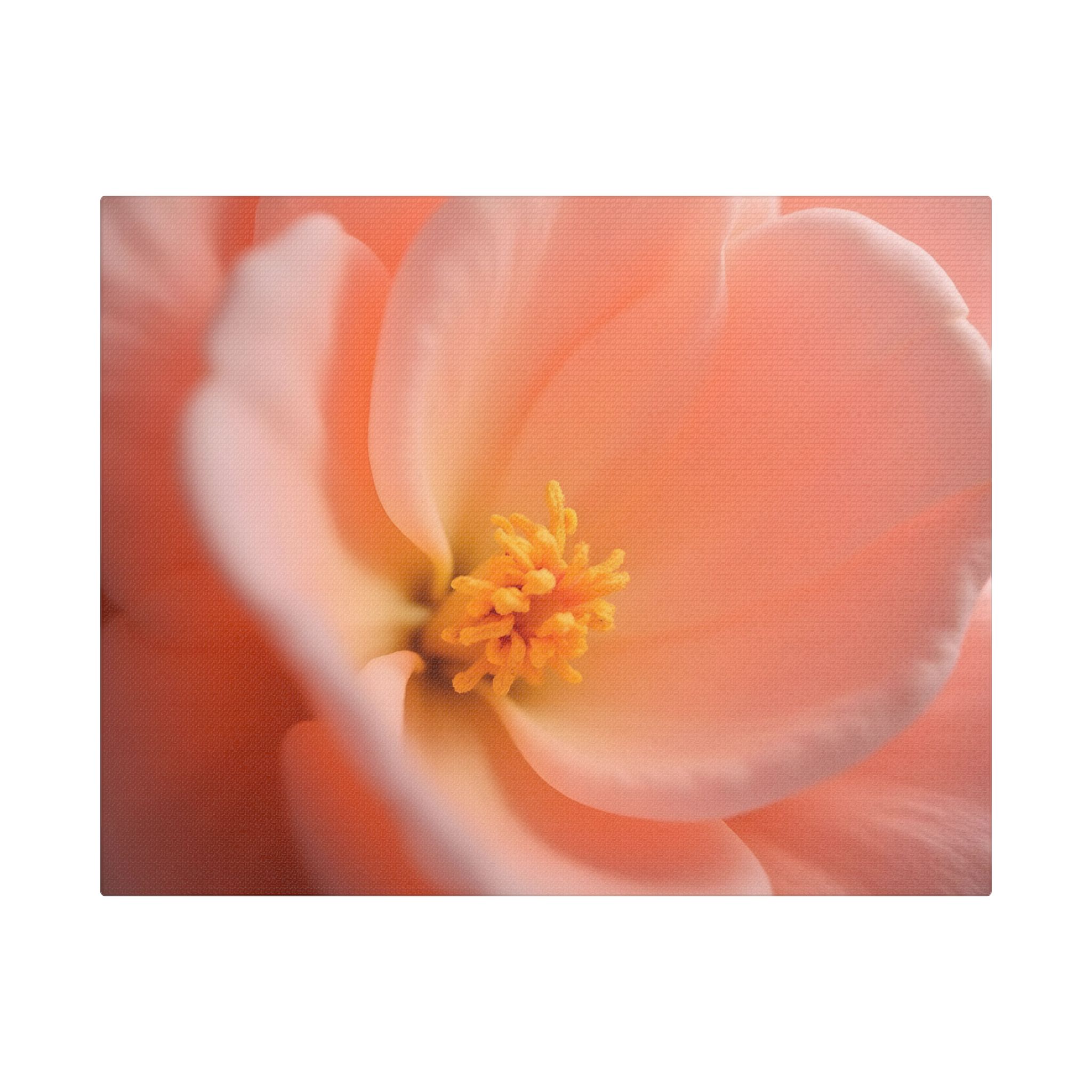 ๐ธ Forest Light Collection โ Secret Glade - Image 13