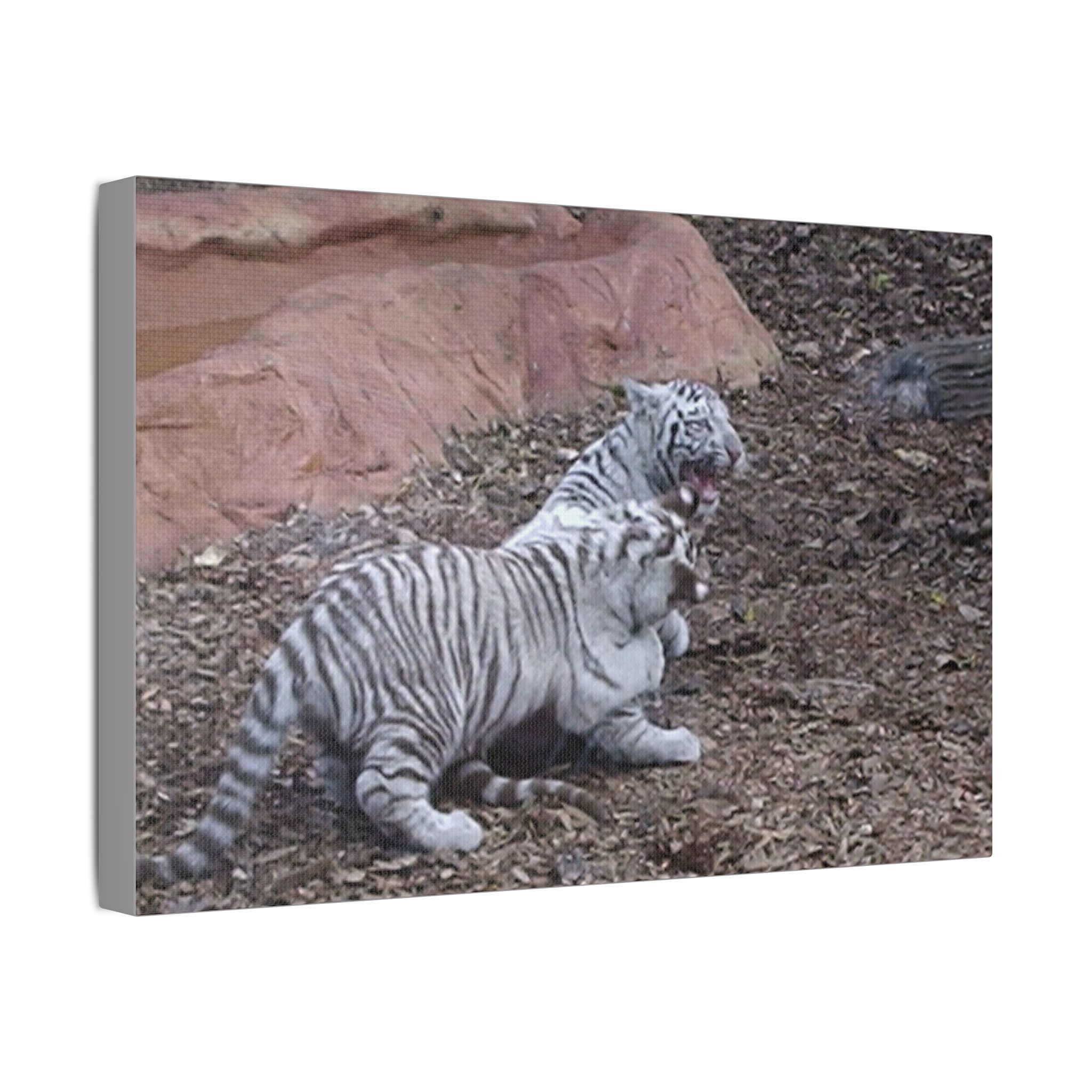 Canvas Wall Art Baby Tiger's Come On Let's Play - Image 18