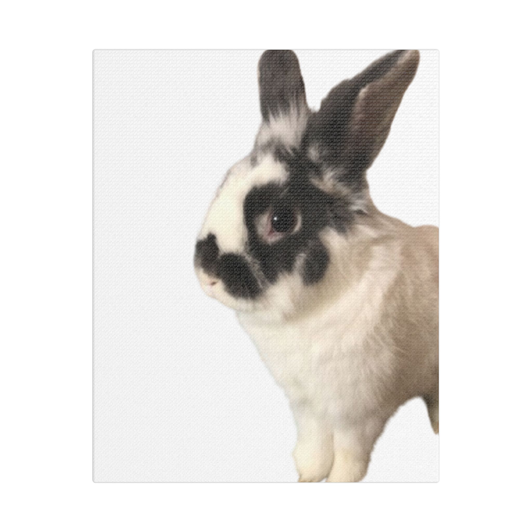 Canvas Print - I'm A Hunny Bunny For Your Love