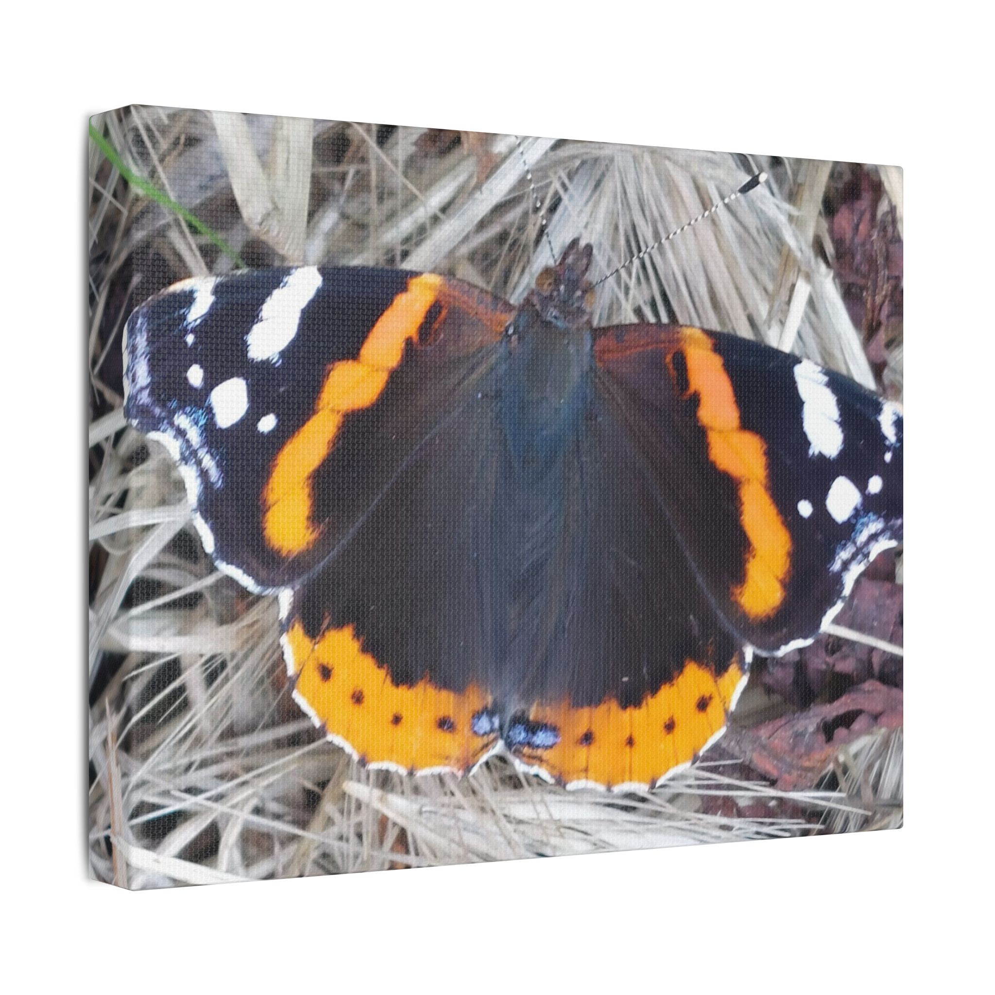 Canvas Print Butterfly On A Summers Day - Image 14