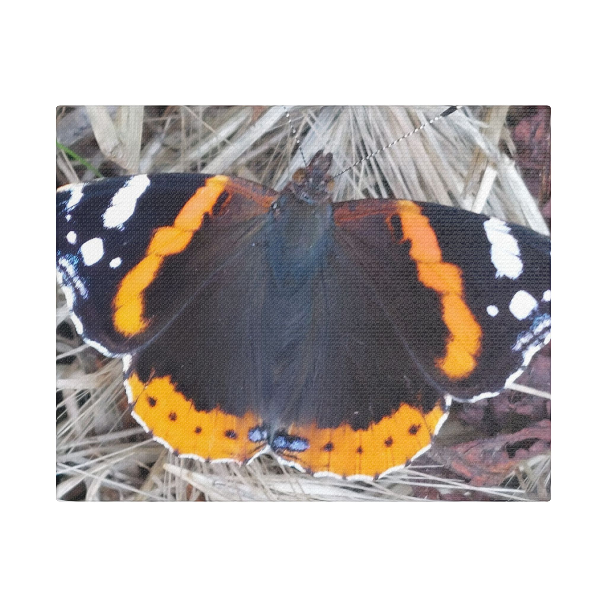 Canvas Print Butterfly On A Summers Day - Image 5
