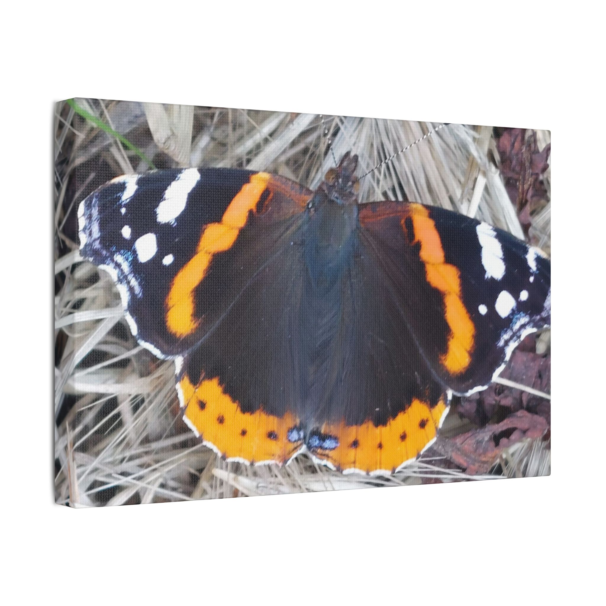 Canvas Print Butterfly On A Summers Day - Image 18
