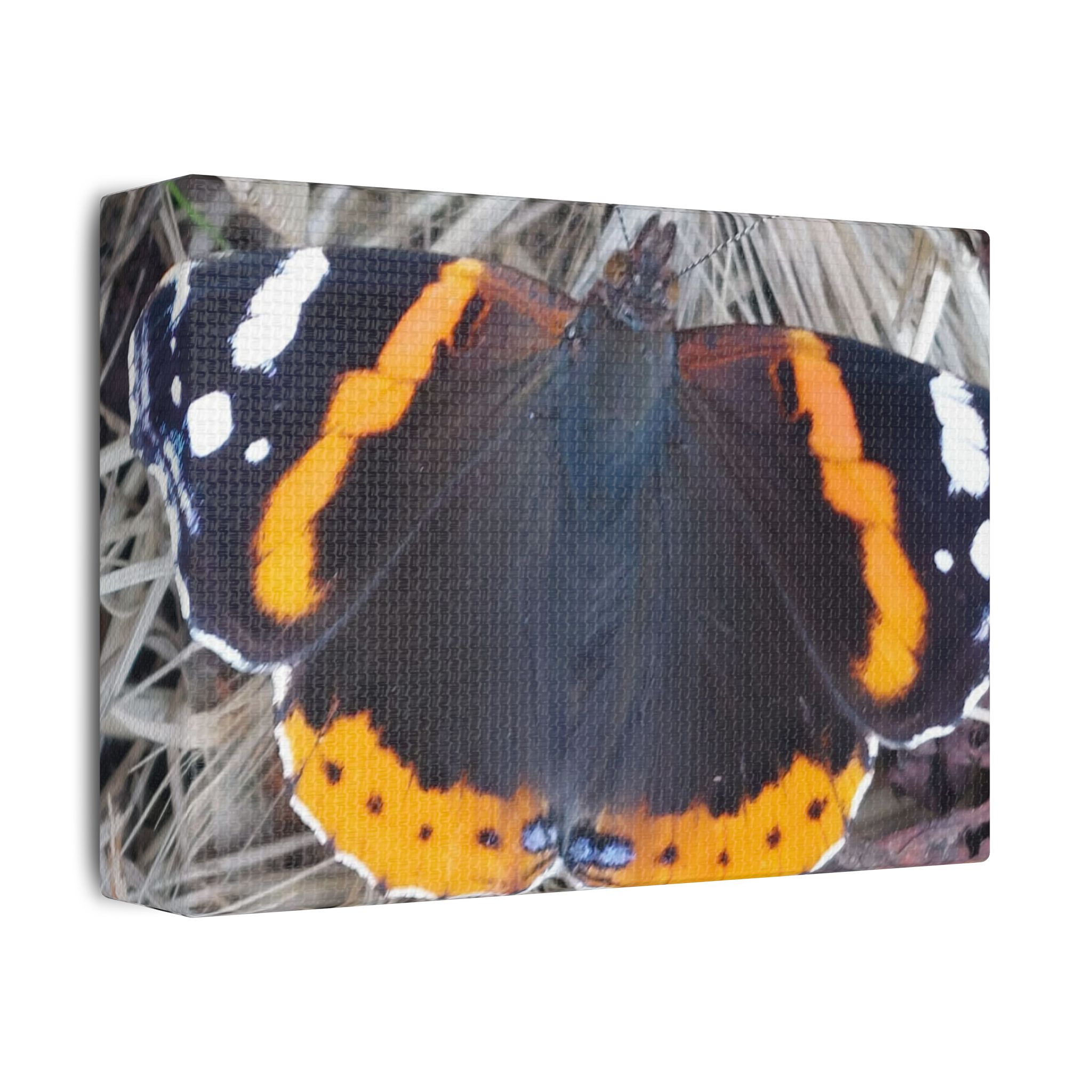 Canvas Print Butterfly On A Summers Day - Image 2