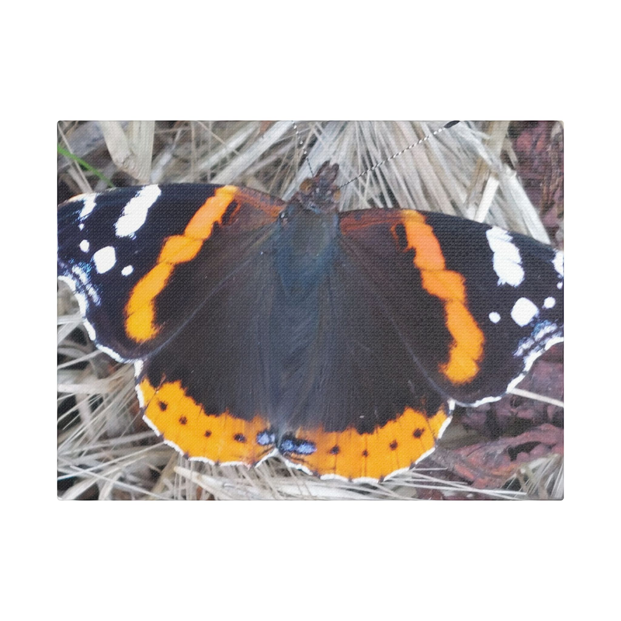 Canvas Print Butterfly On A Summers Day - Image 9