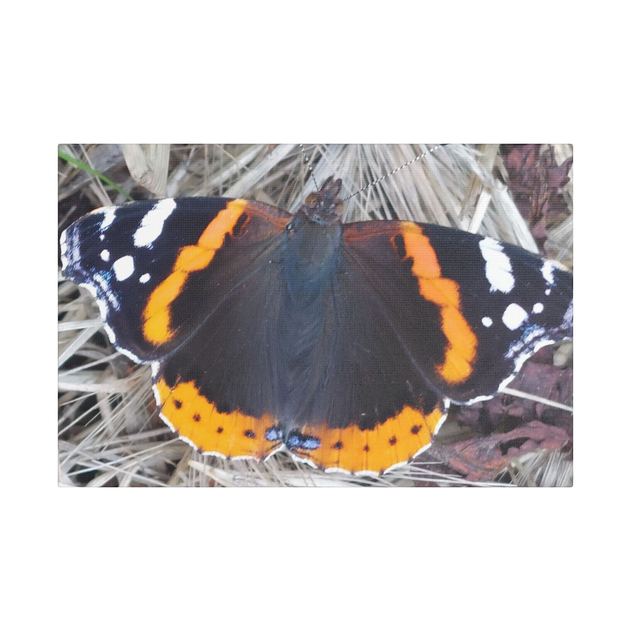 Canvas Print Butterfly On A Summers Day - Image 17