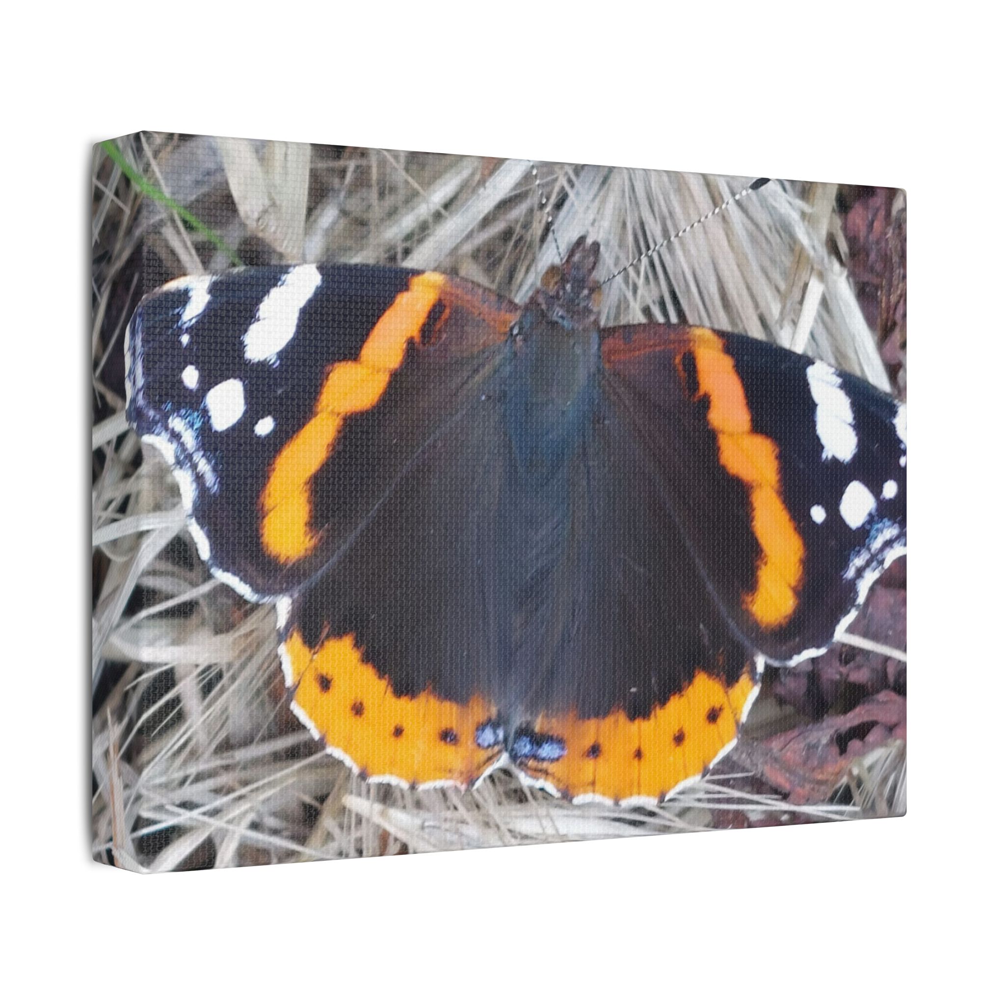 Canvas Print Butterfly On A Summers Day - Image 10