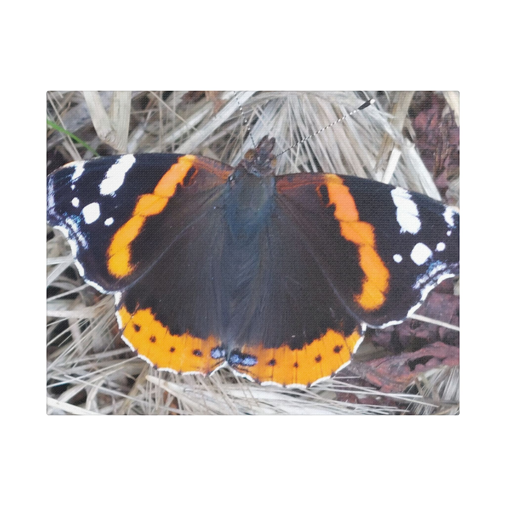 Canvas Print Butterfly On A Summers Day - Image 13